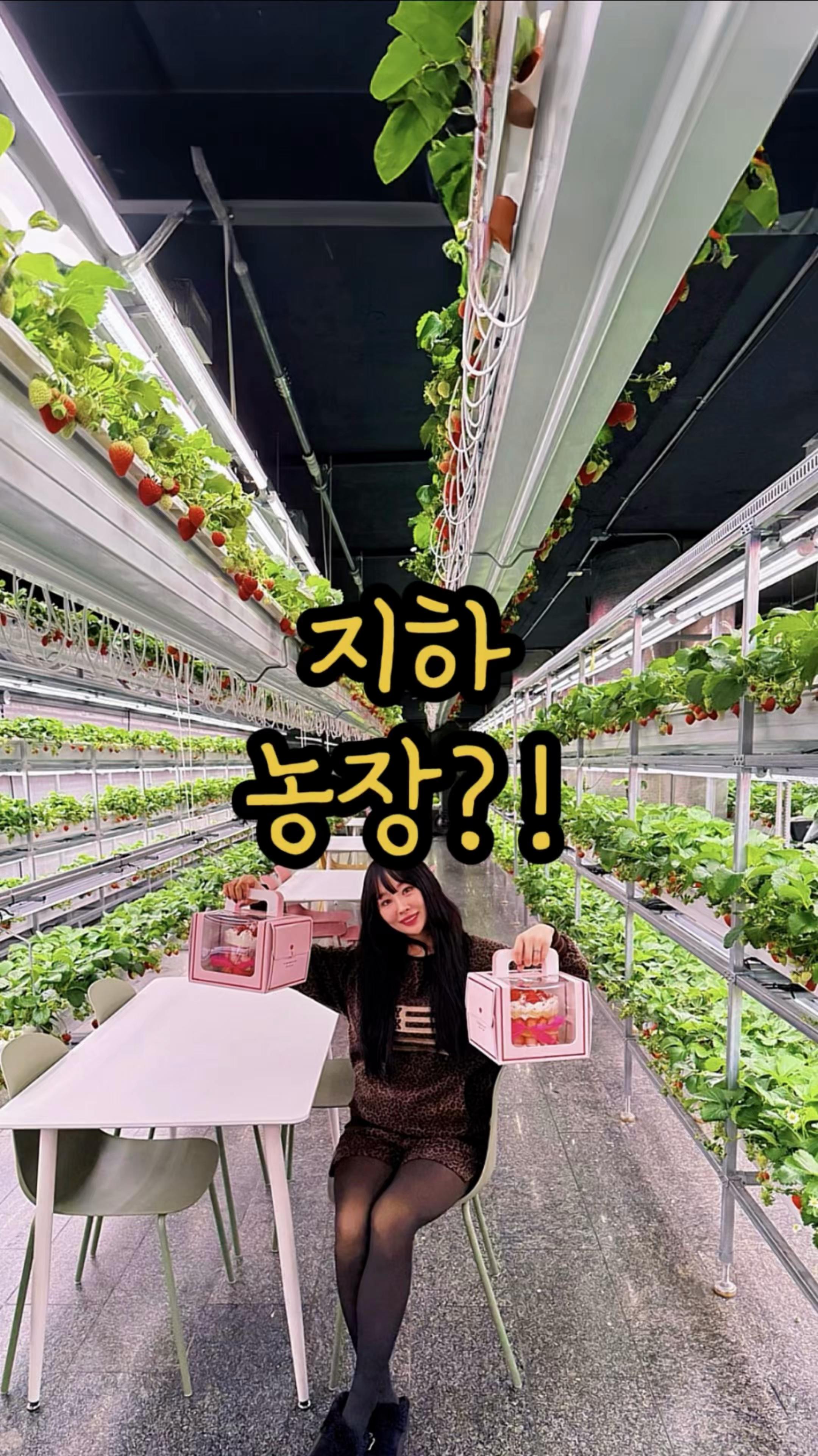 Daejeon Smart Farm Offers Interactive Harvest Experiences