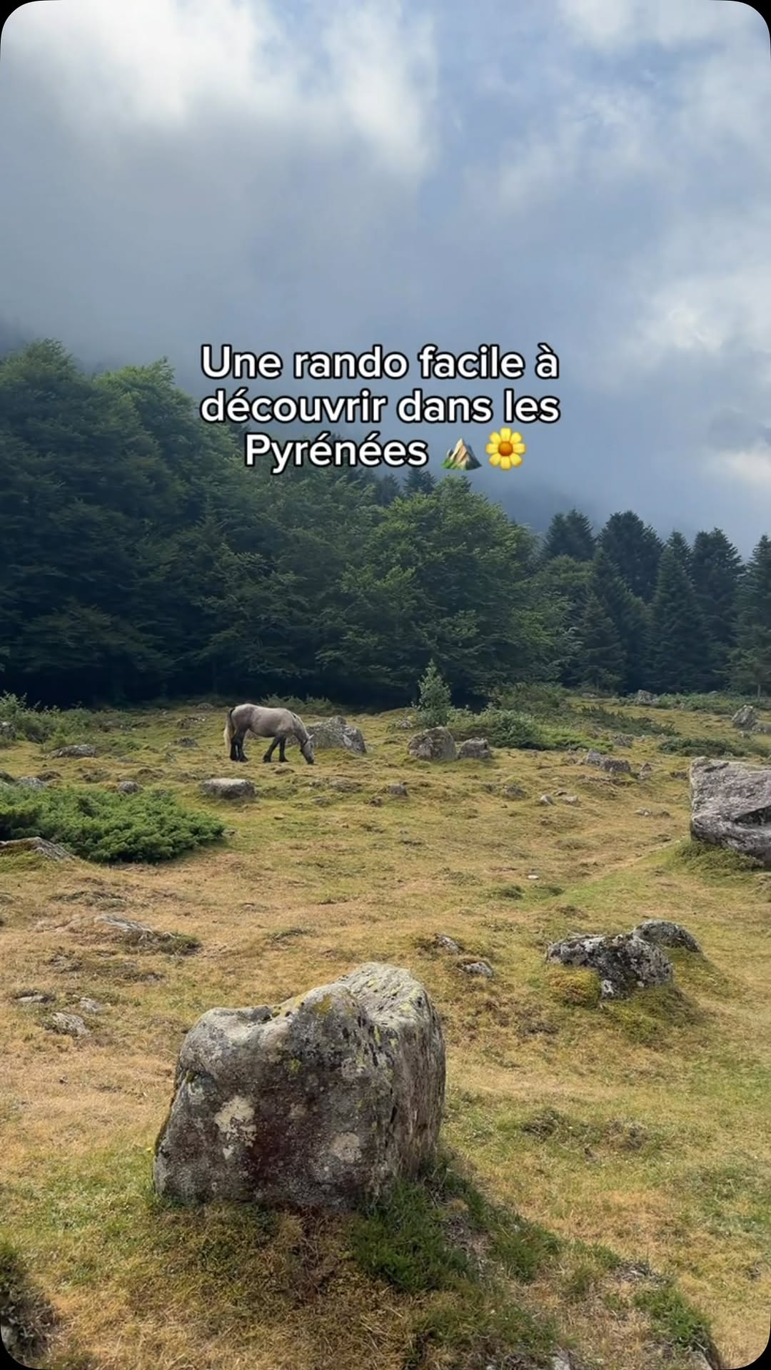 Pyrenees Hike to Lac d'Estom from La Fruitière