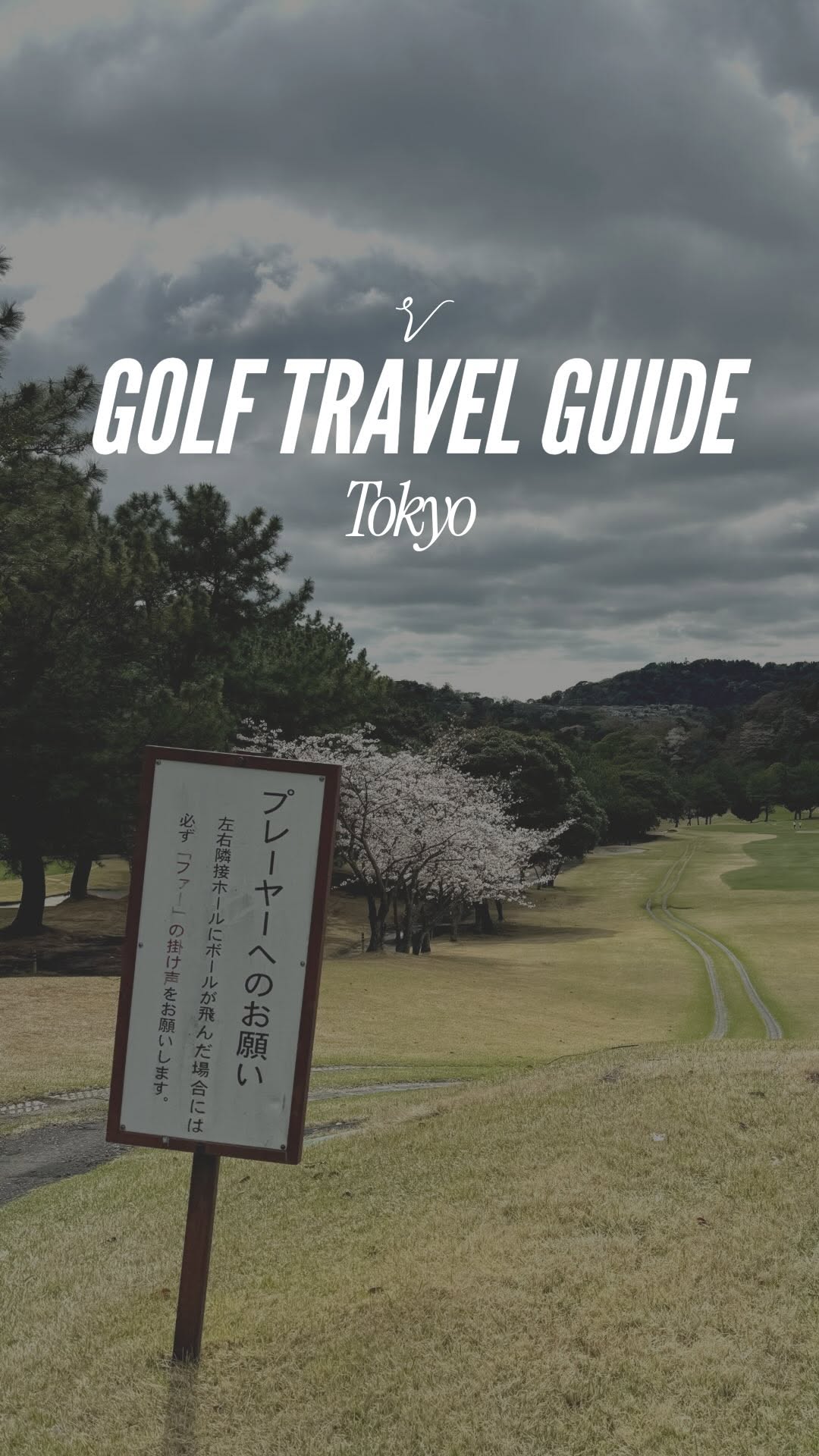 Tokyo's Golf and Sports Retail Destinations