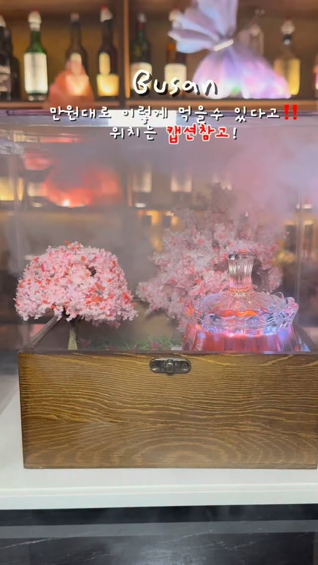 Busan Bar Offers Beautiful, Affordable Cocktails