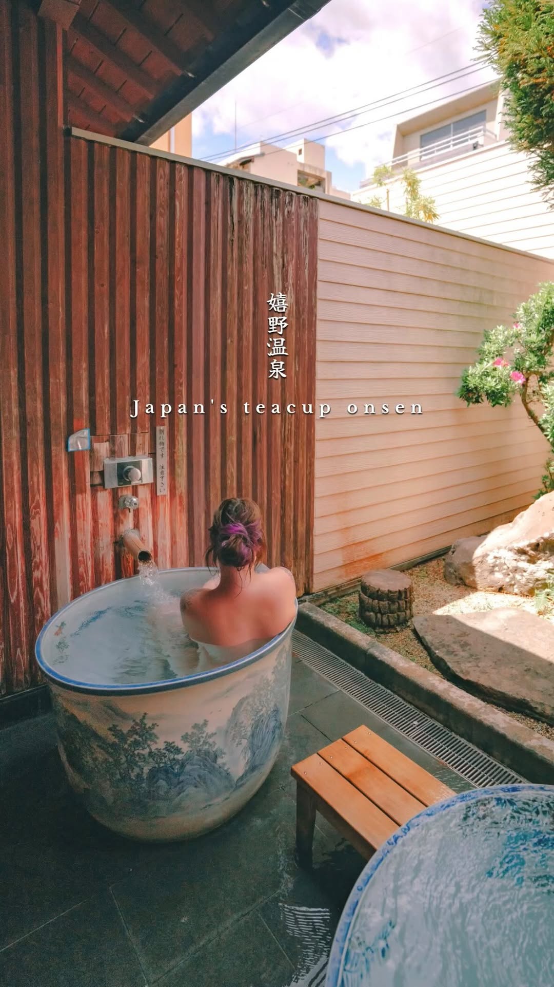 Arita And Ureshino Onsen Teacup Baths
