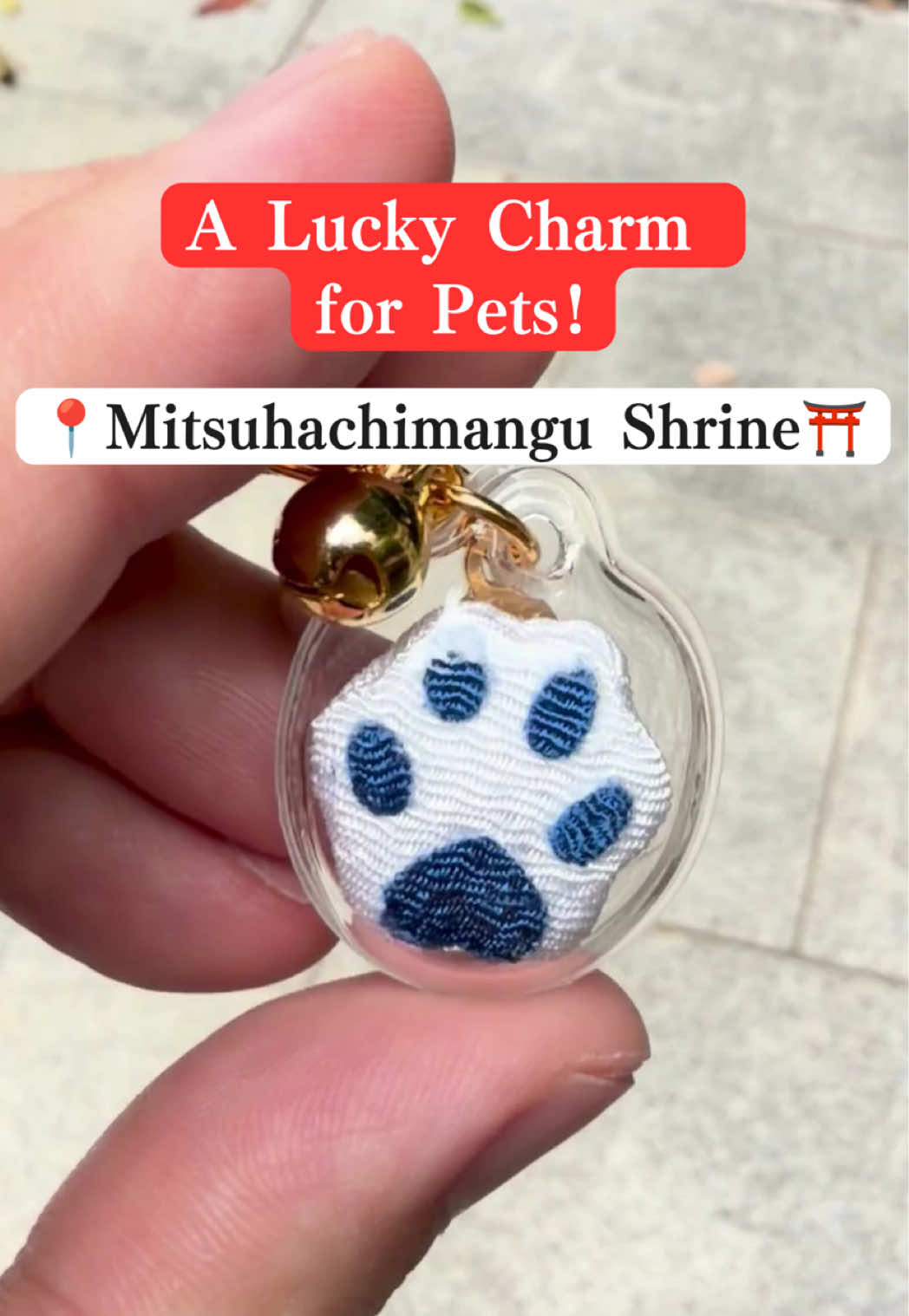 Pet Charms at Mitsuhachimangu Shrine