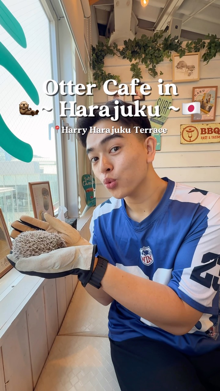Cute Animals And Kind Staff At Harry Harajuku Terrace