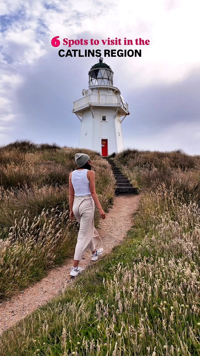 6 Attractions in New Zealand