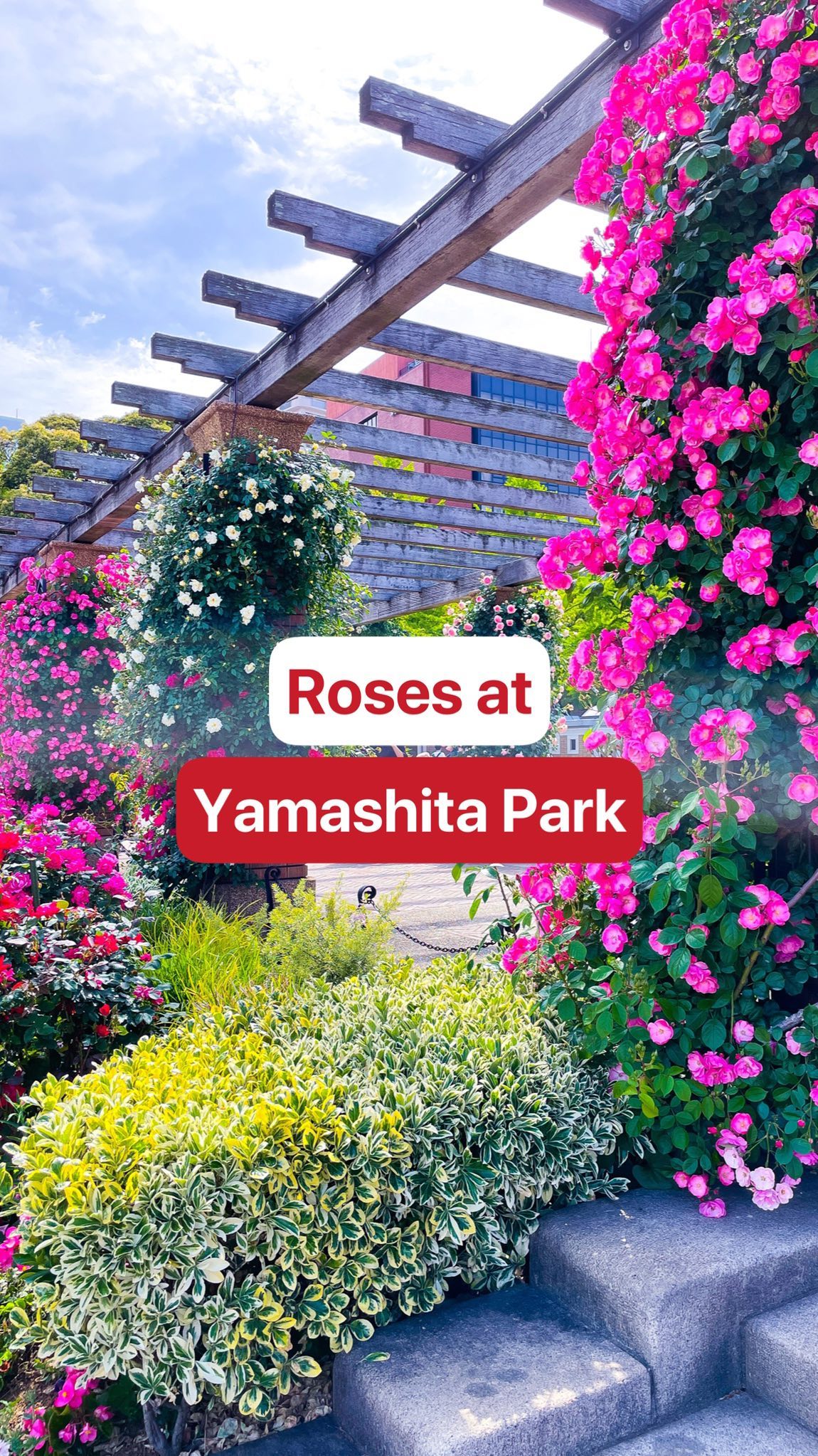 Yokohama's Rose Garden Park