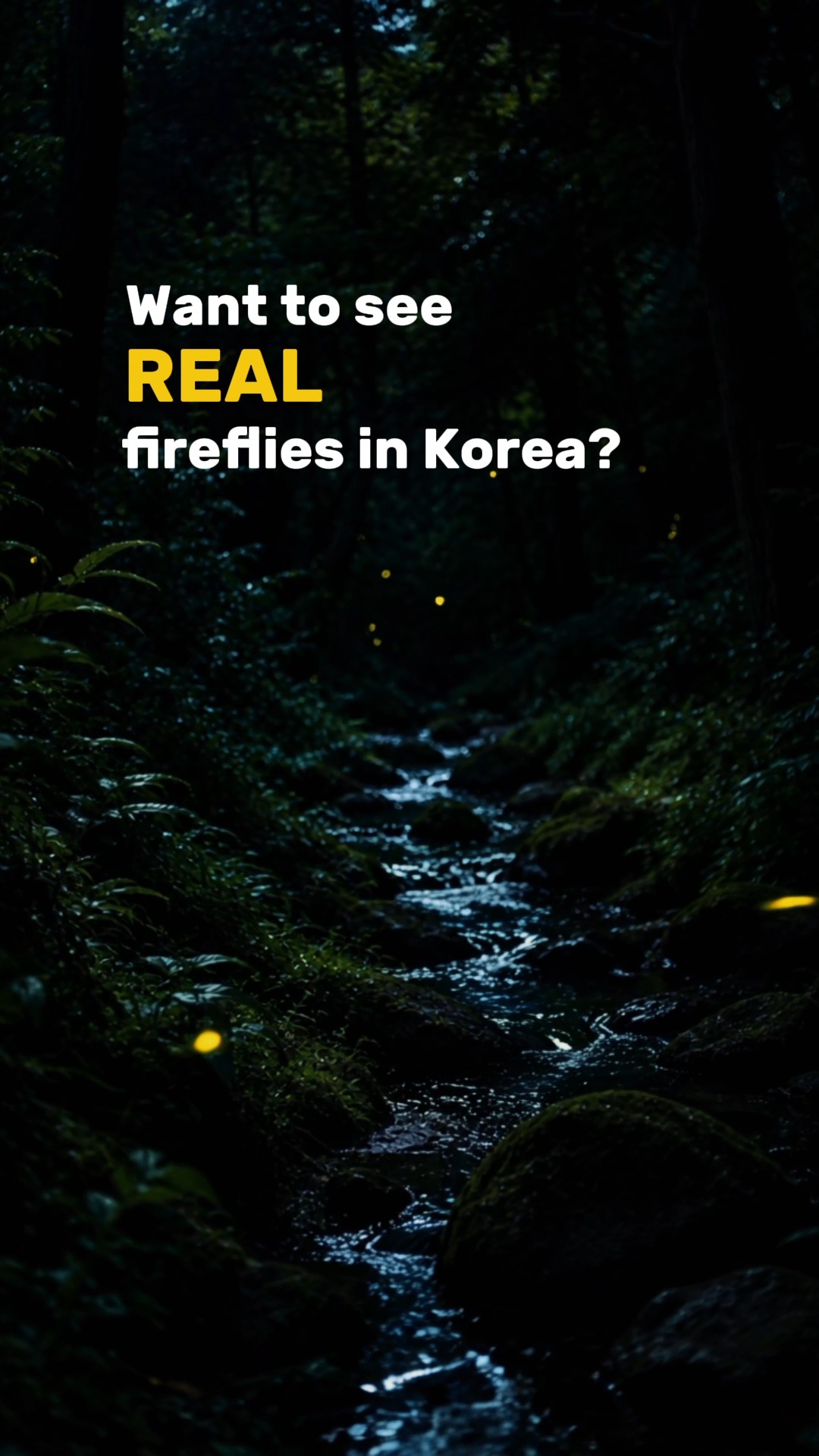 6 Attractions in South Korea