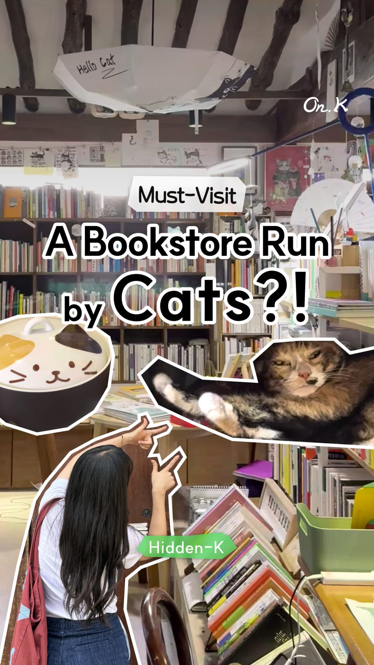 Seoul Bookstore Offers Cat Books and Cat Companions