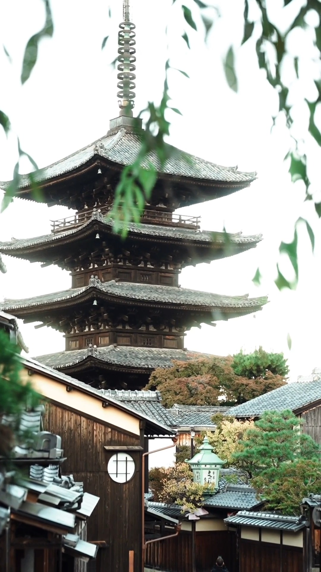Kyoto Shrines Offer Serene Tourist Alternatives
