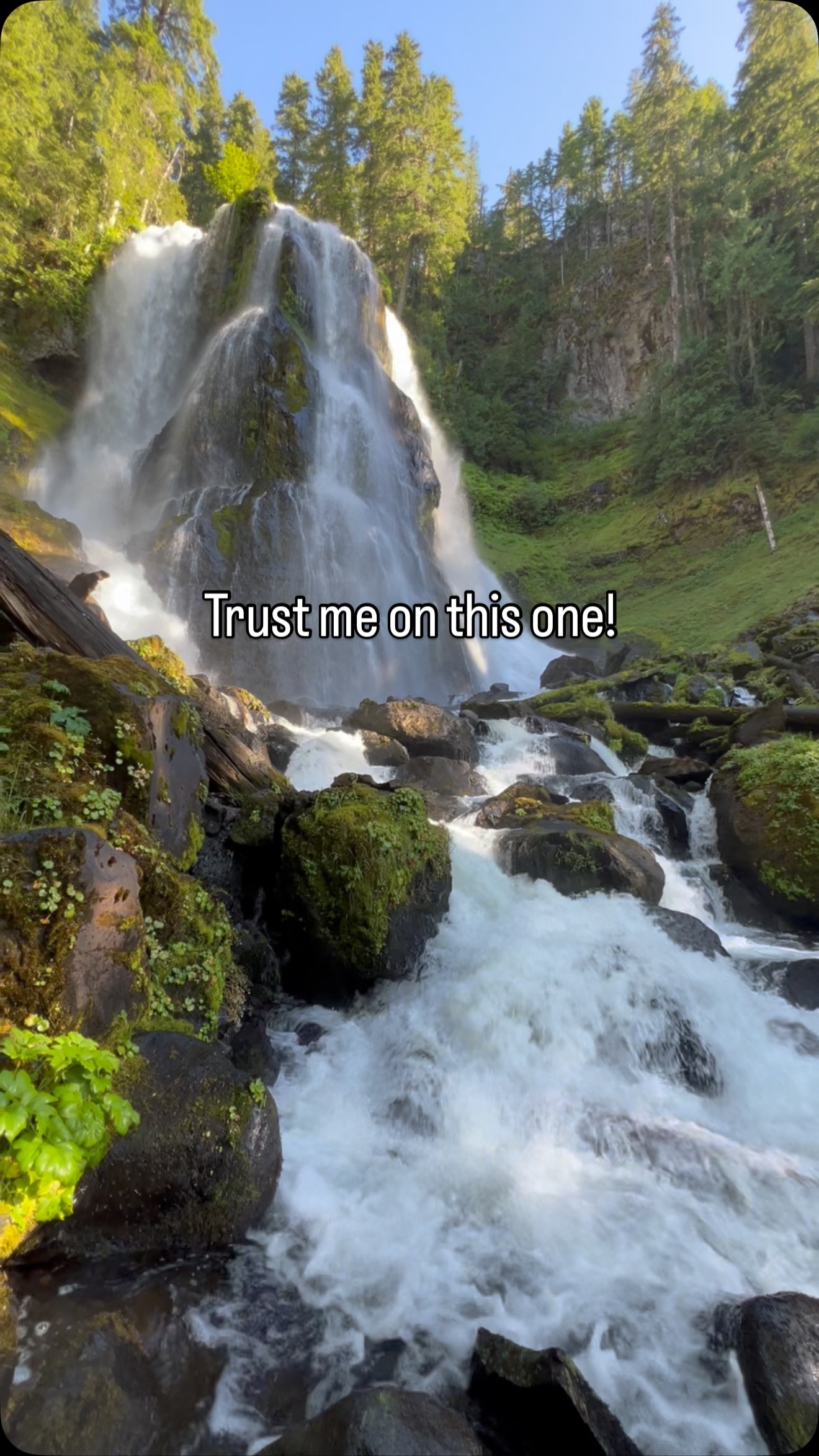Discover Washington's Underrated Falls Creek Falls
