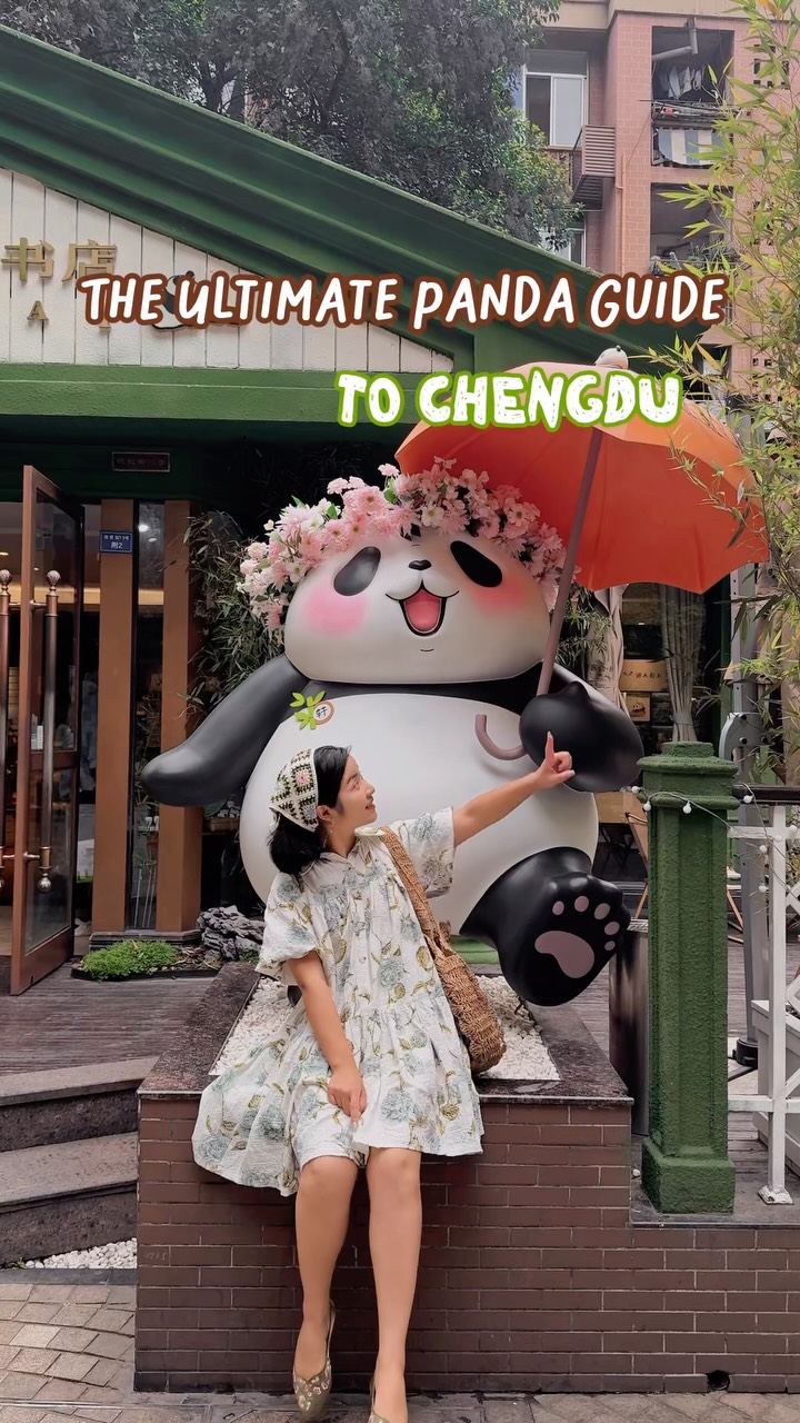 Chengdu's Panda Attractions For A Roaring Good Time