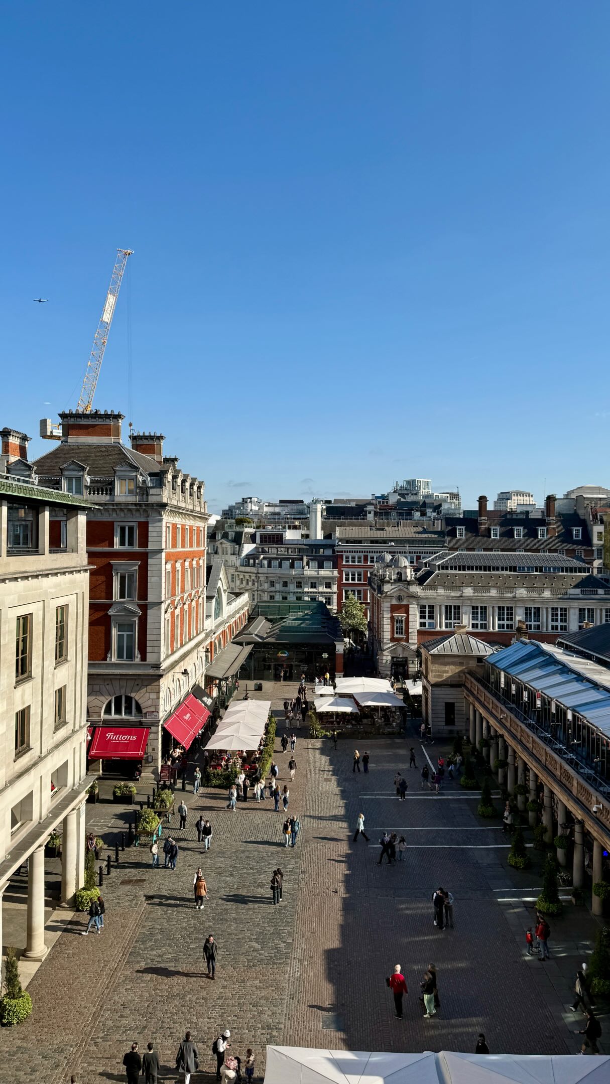 Covent Garden's Best Casual Rooftop Bars