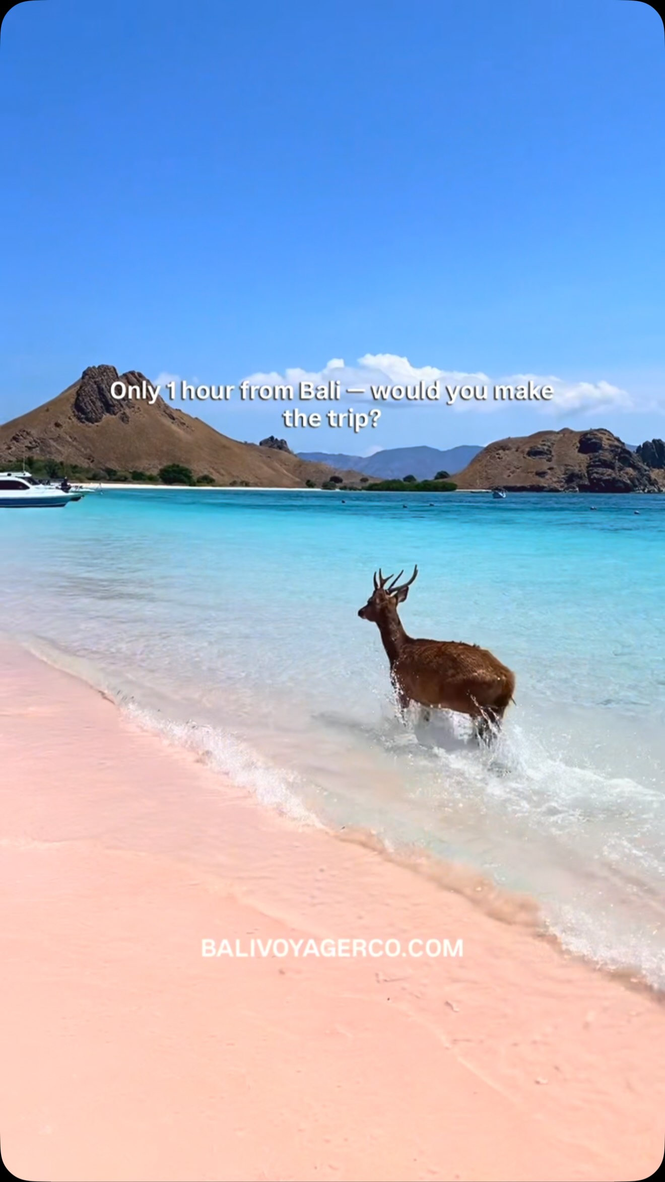5 Attractions in East Nusa Tenggara