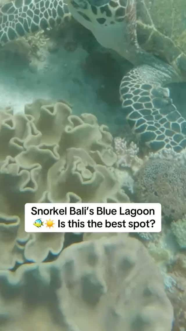 8 Attractions in Bali