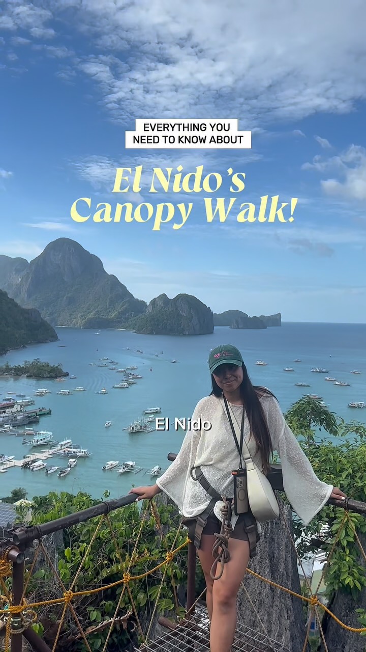 El Nido Canopy Walk Offers Stunning Views