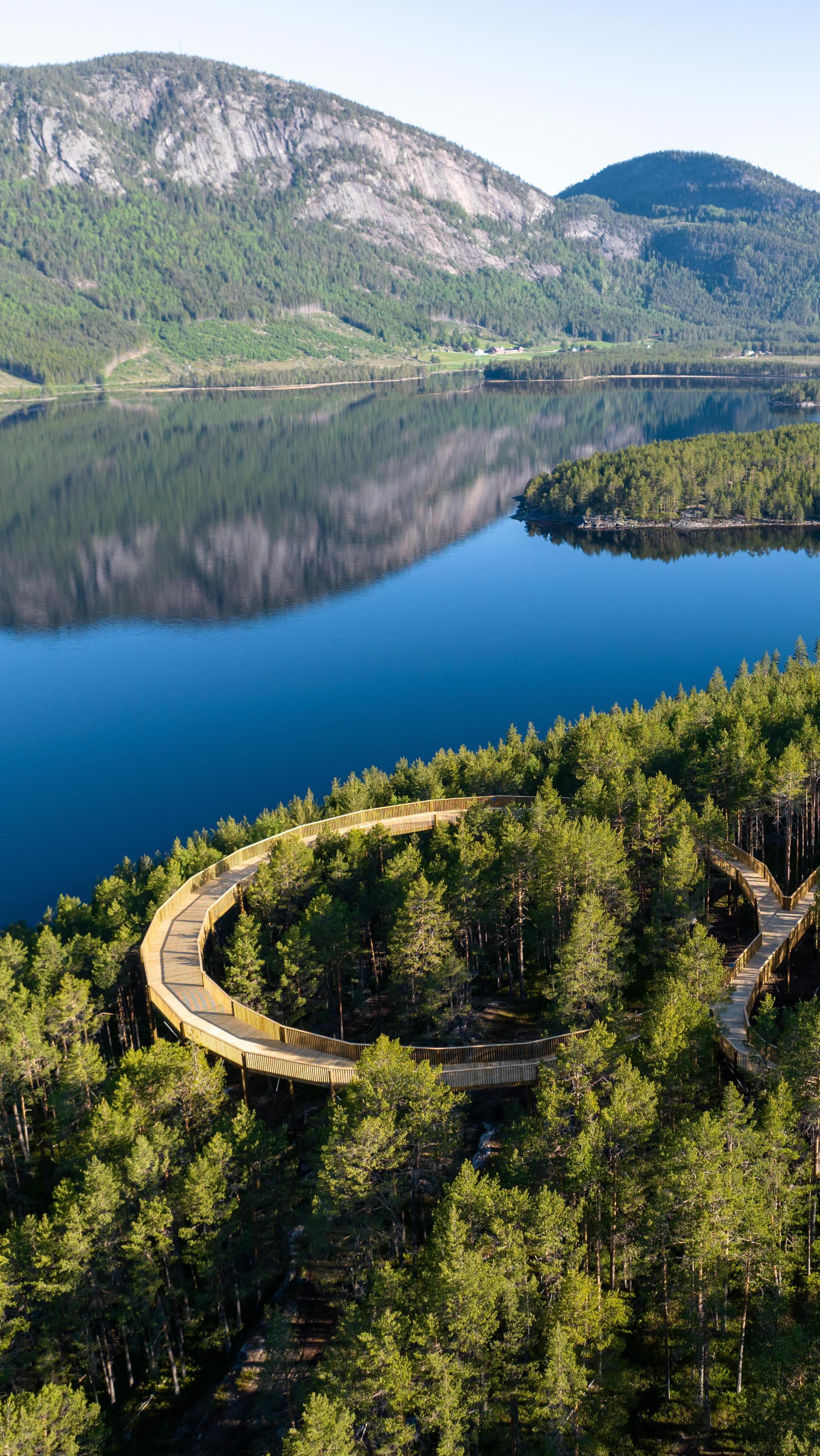 Explore Treetop Walks in Hamaren Activity Park