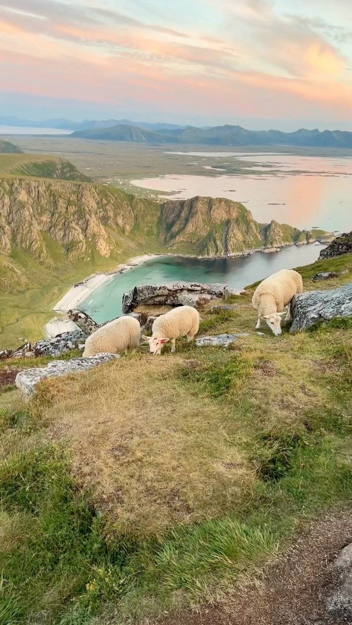 Andøya: Norway's Undiscovered Coastal Gem