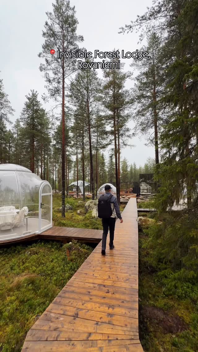 Lapland Lodge Offers Nordic Design and Forest Tranquility
