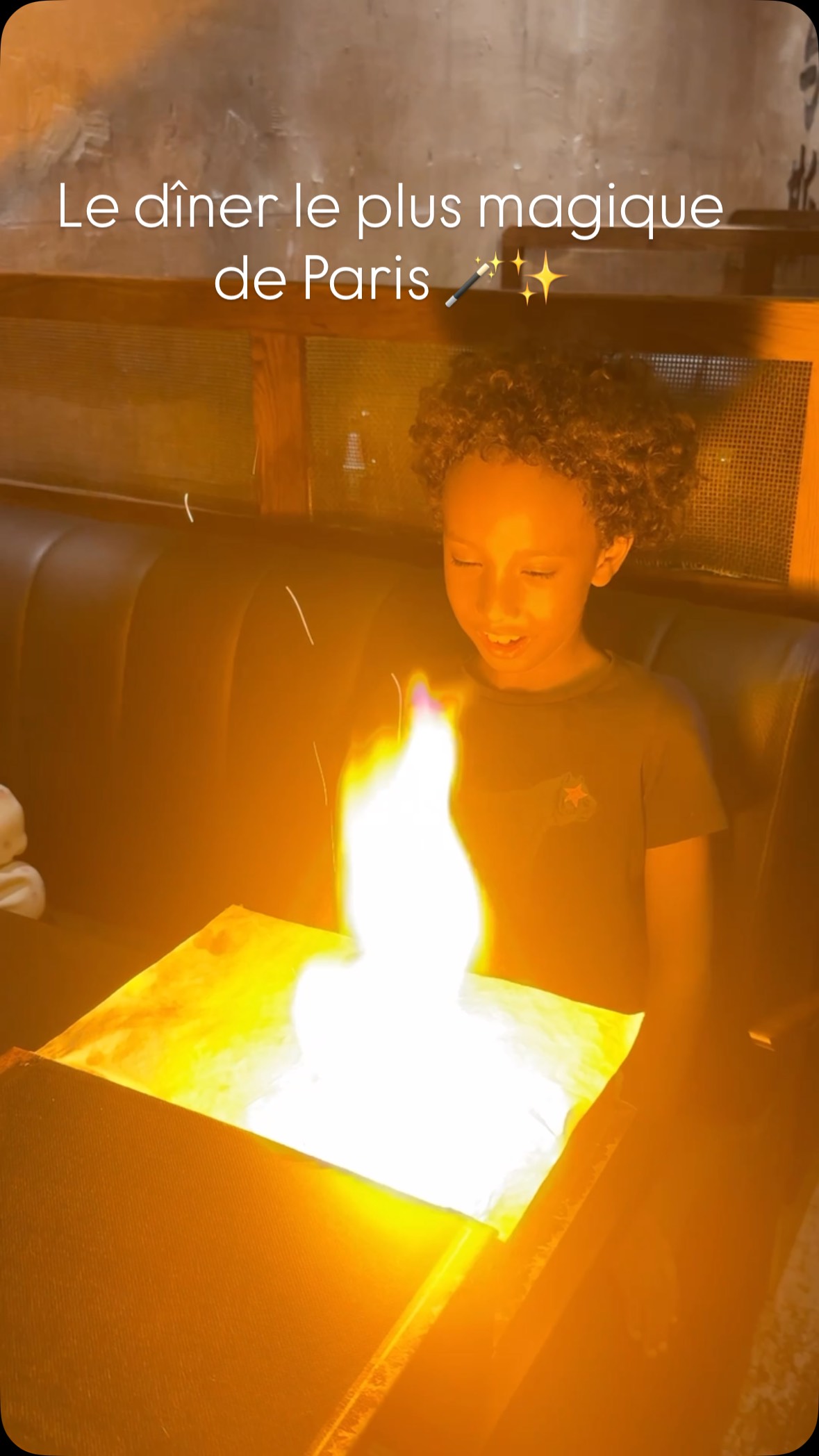 Shinko: A Magical Dining Experience