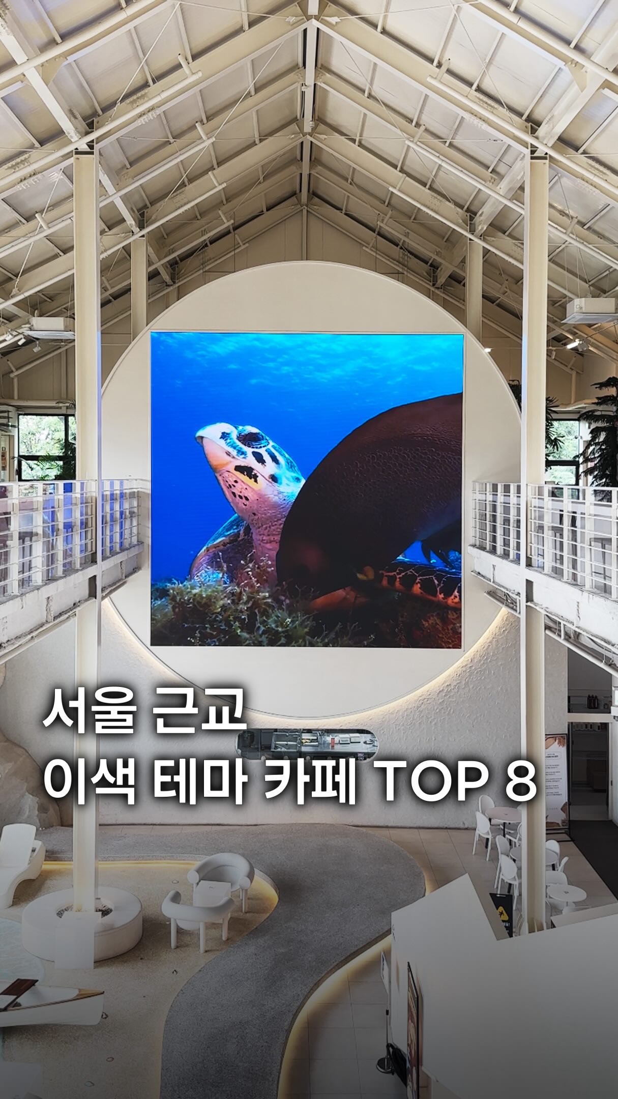 Korean Cafes With Unique Themes Near Seoul