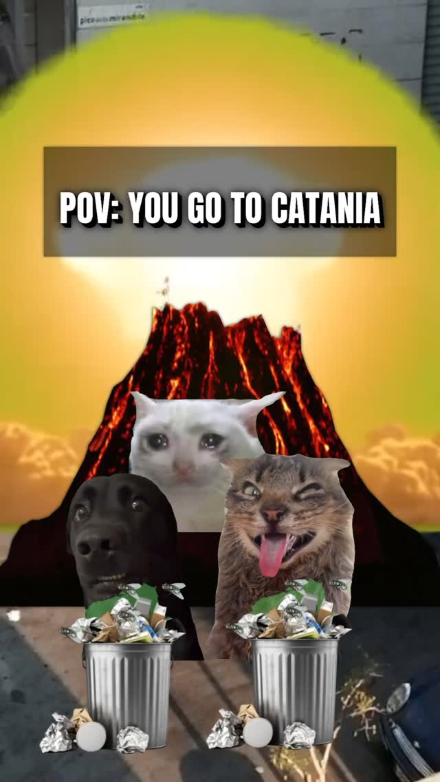 Sicilian Cities Paired With Cat Memes