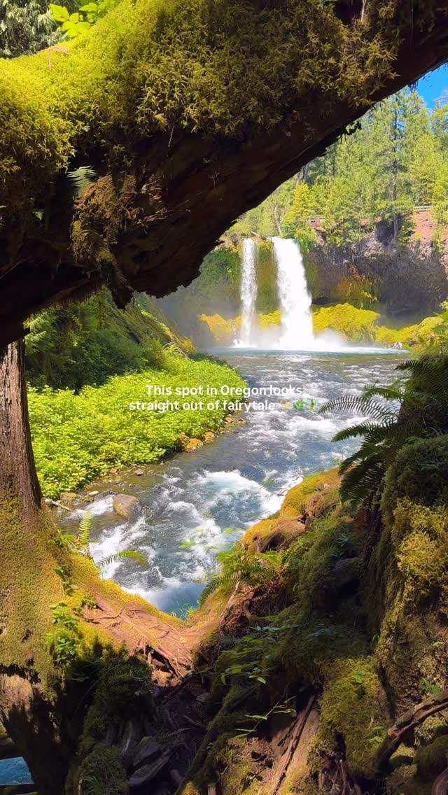 4 Hikes in Oregon