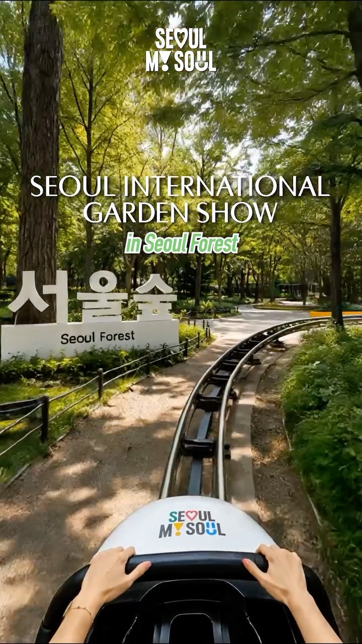 6 Places in Seoul