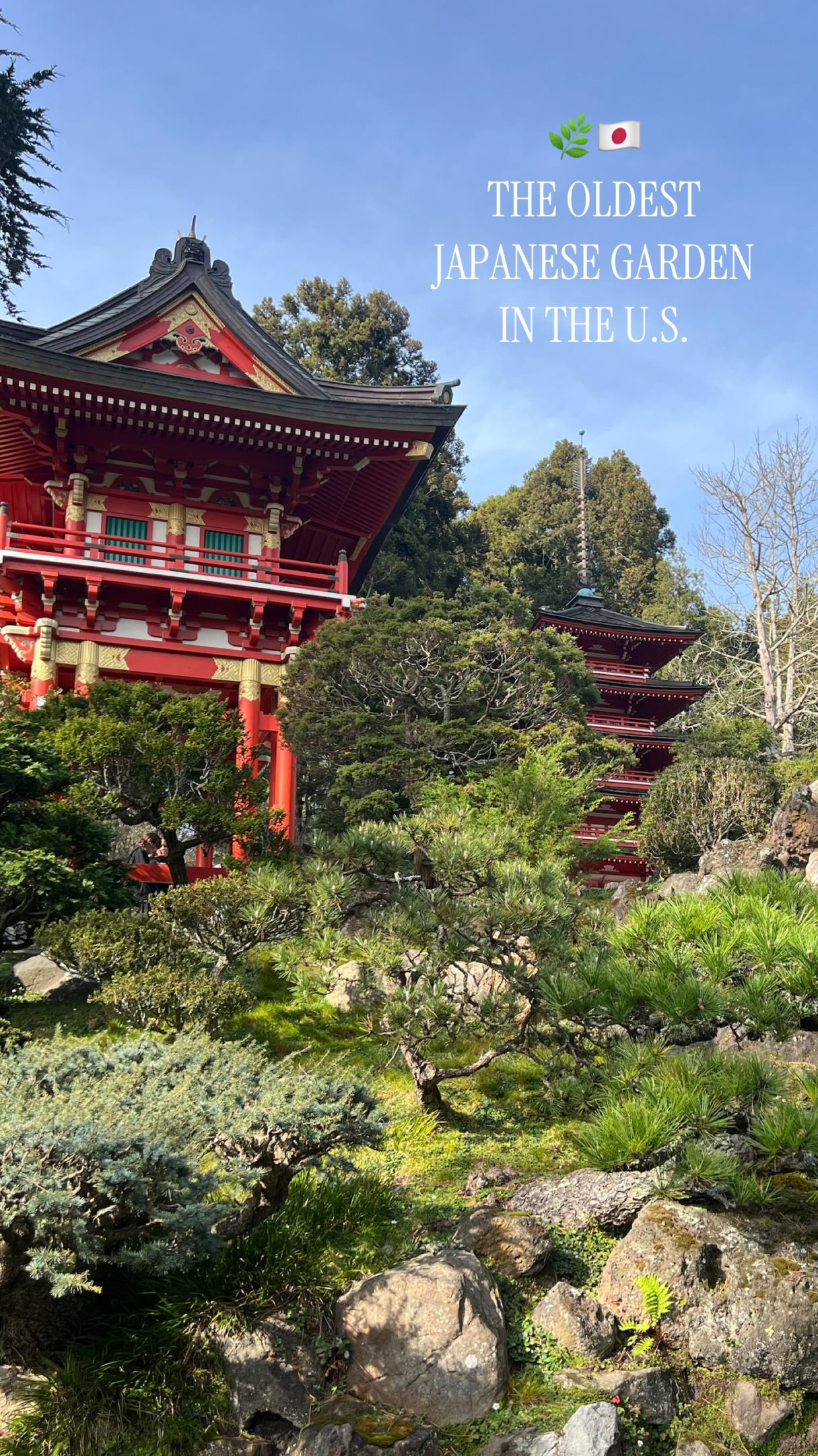 Japanese Tea Garden In San Francisco's Golden Gate Park