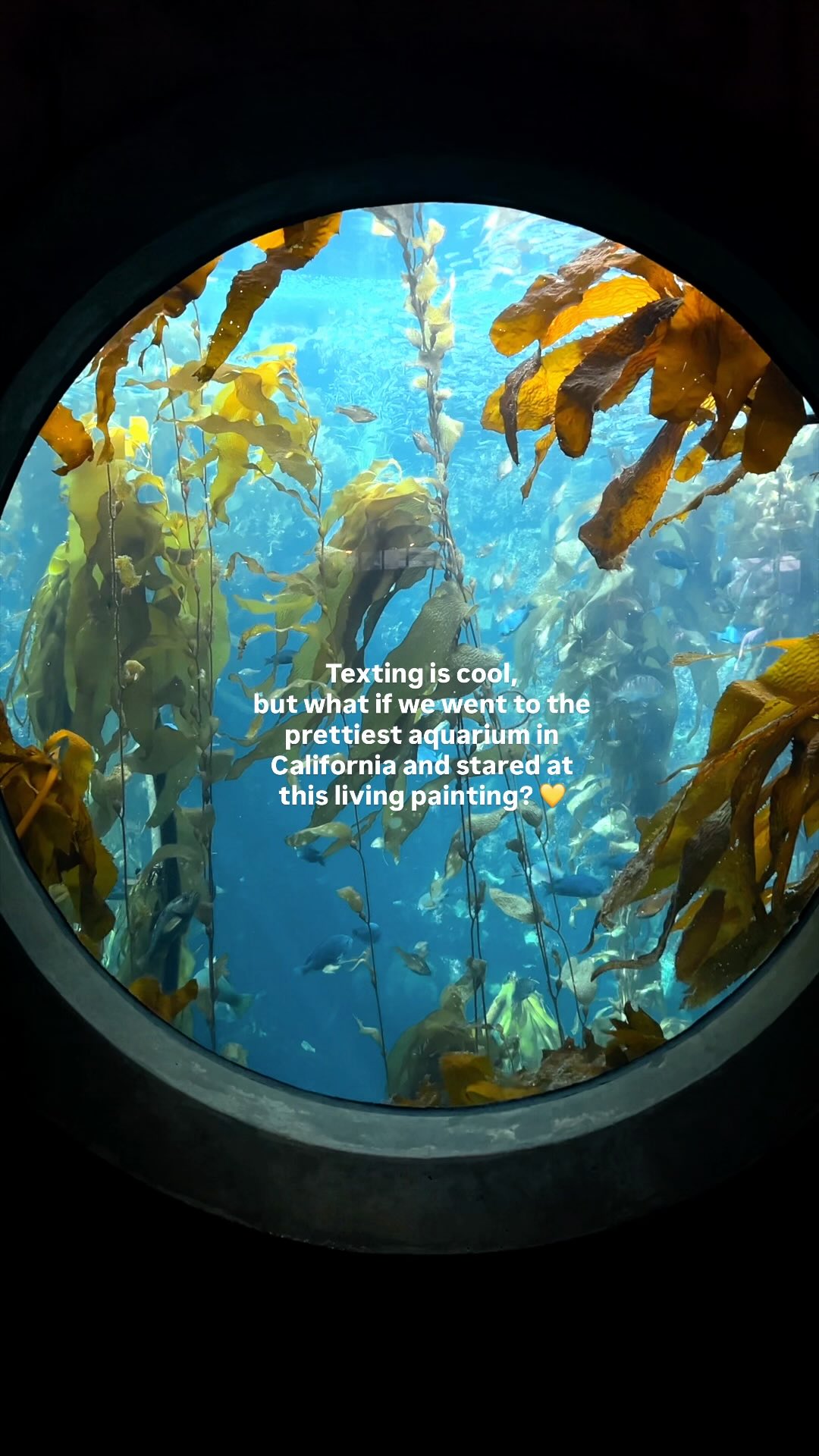 California Aquarium And Coastal Row Attractions