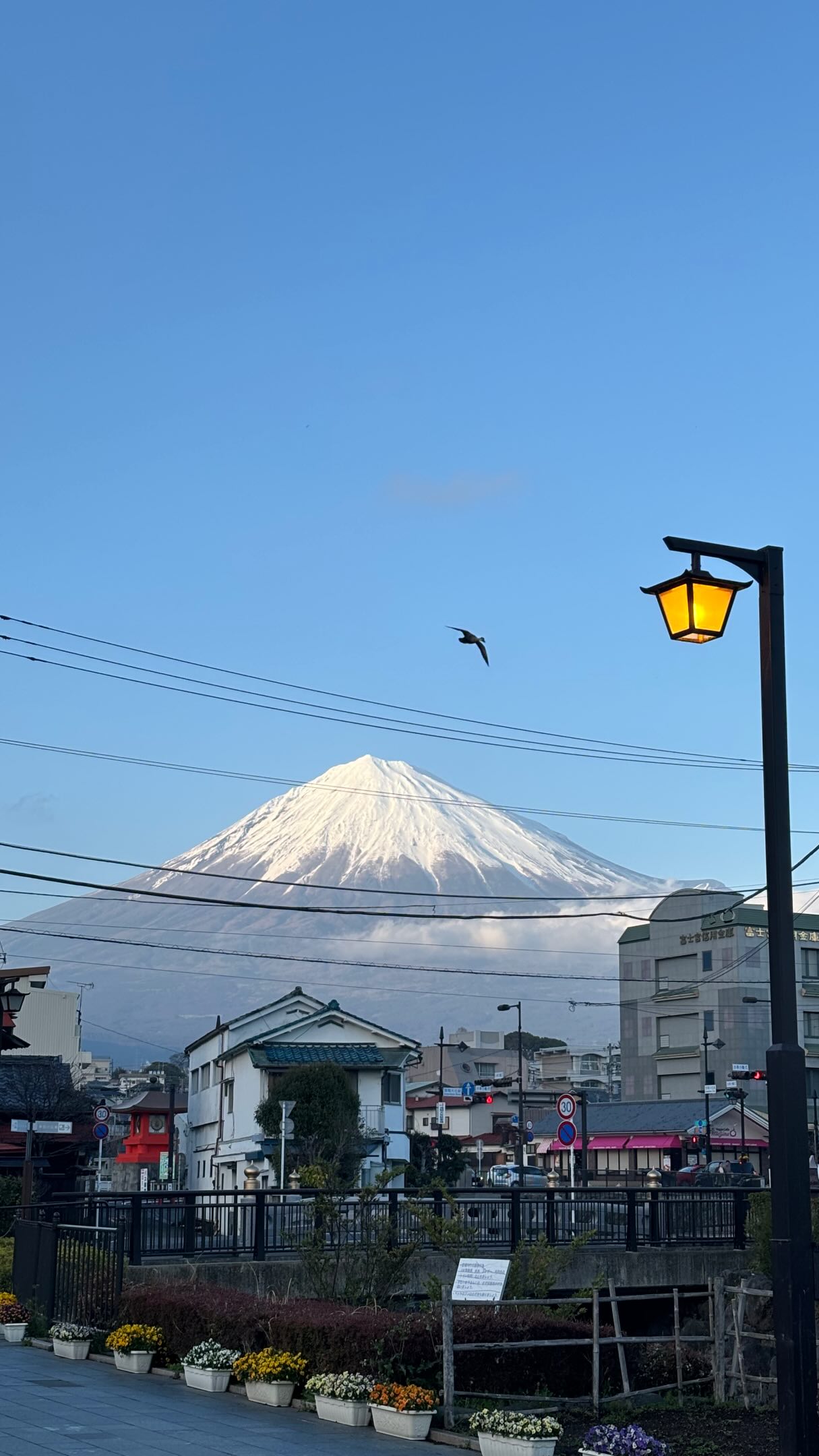 7 Attractions in Japan
