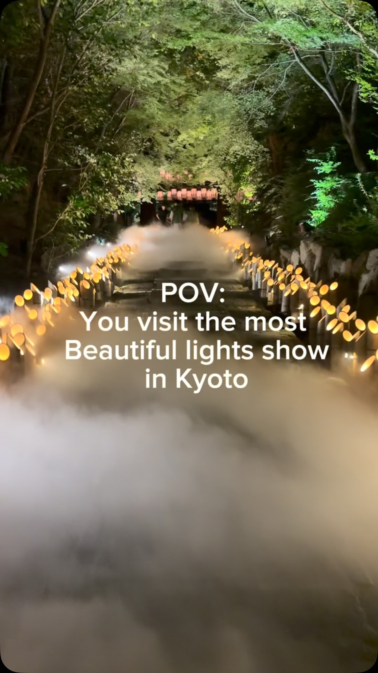 Kyoto's Kōdaiji Temple Illuminates Bamboo Grove