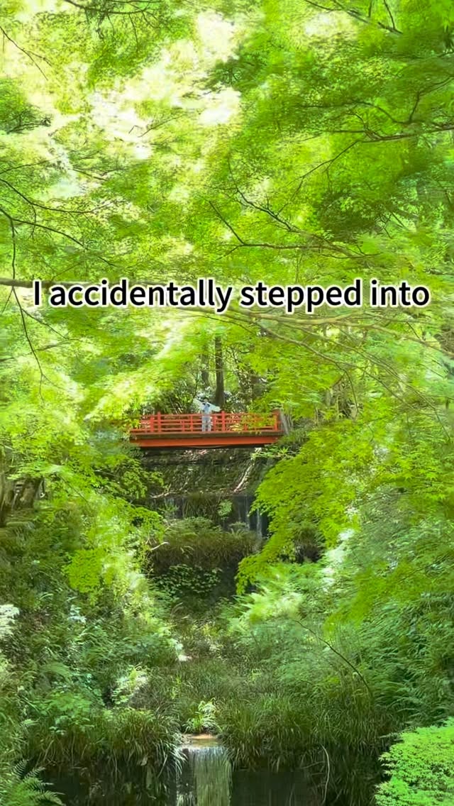 Sanzen-in Temple: A Ghibli-esque Kyoto Garden