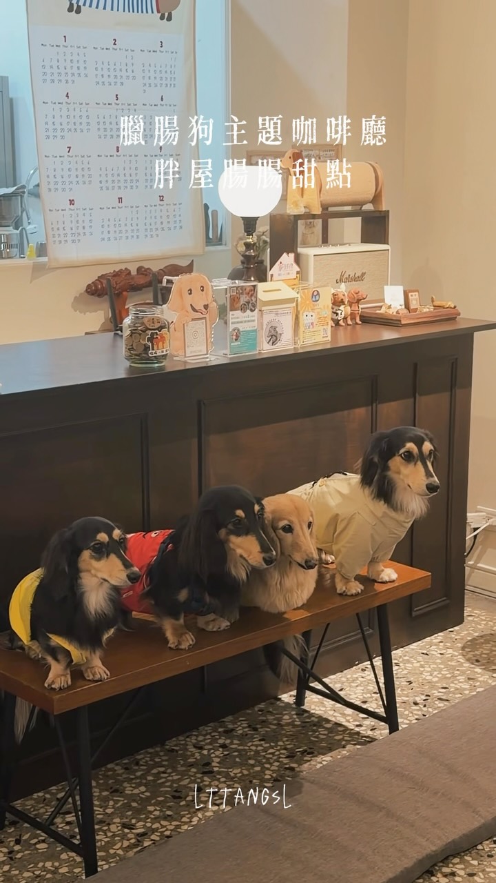 Taichung's Dachshund-Friendly Dessert Shop