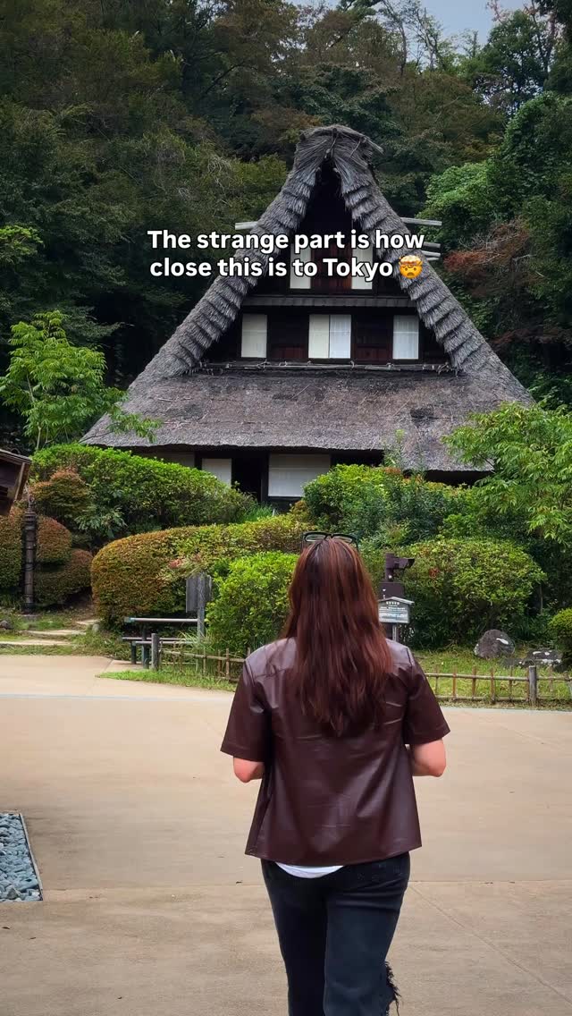 Traditional Japanese Homes In Greenery Near Tokyo