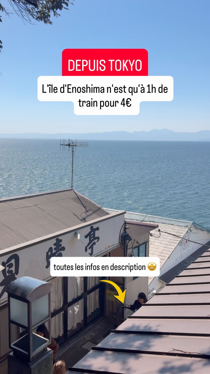 Enoshima Island Day Trip From Tokyo