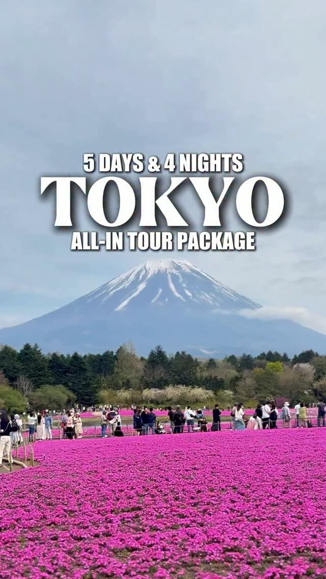 Iconic Tokyo Sights And Experiences