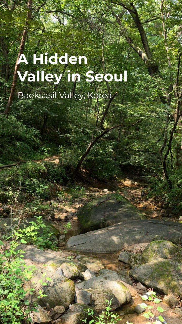 Seoul's Hidden Hillsides: Baeksasil Valley and Gyeongbokgung