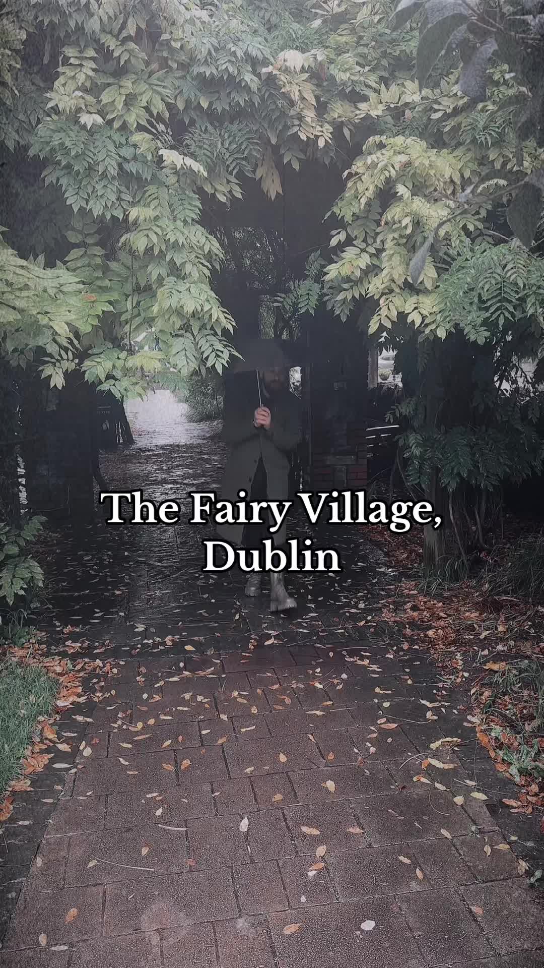 Phoenix Park And Local Dublin Attractions