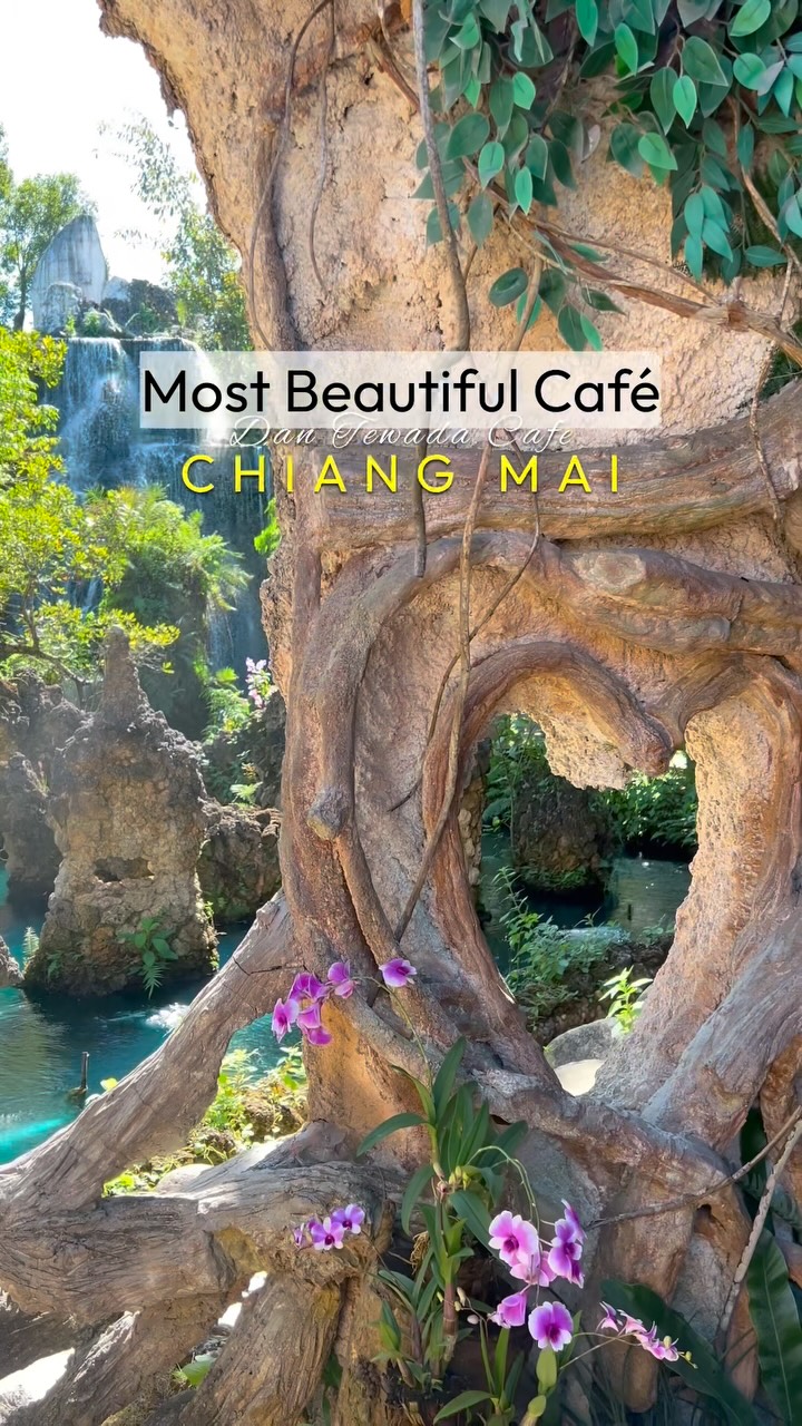 1 Restaurants in Chang Wat Chiang Mai