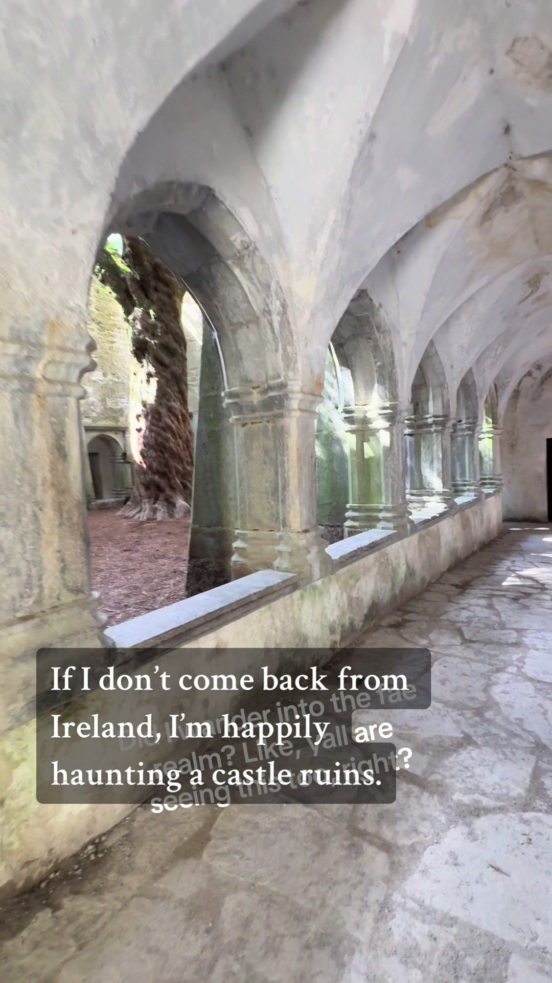 Muckross Abbey: A Historic Irish Monastery