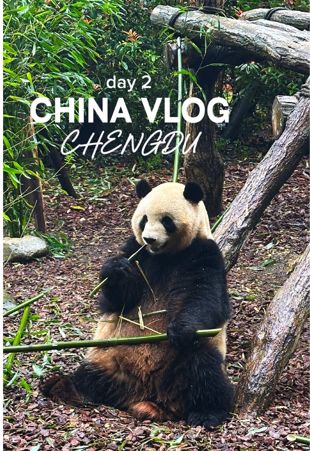 5 Places in Cheng Du Shi