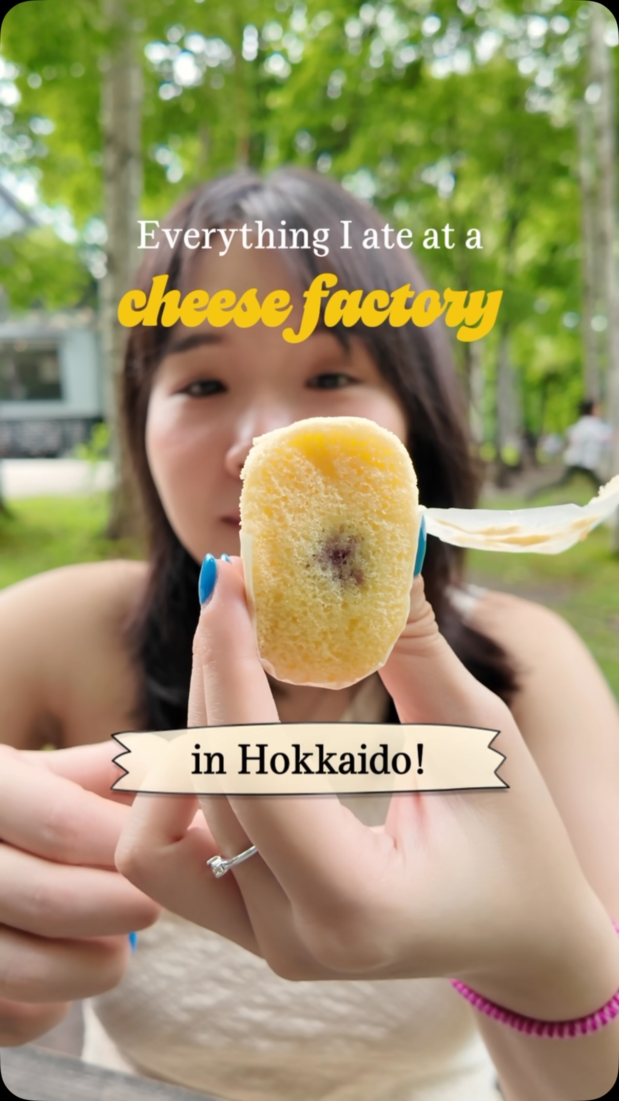 Hokkaido Cheese Factory Food Delights