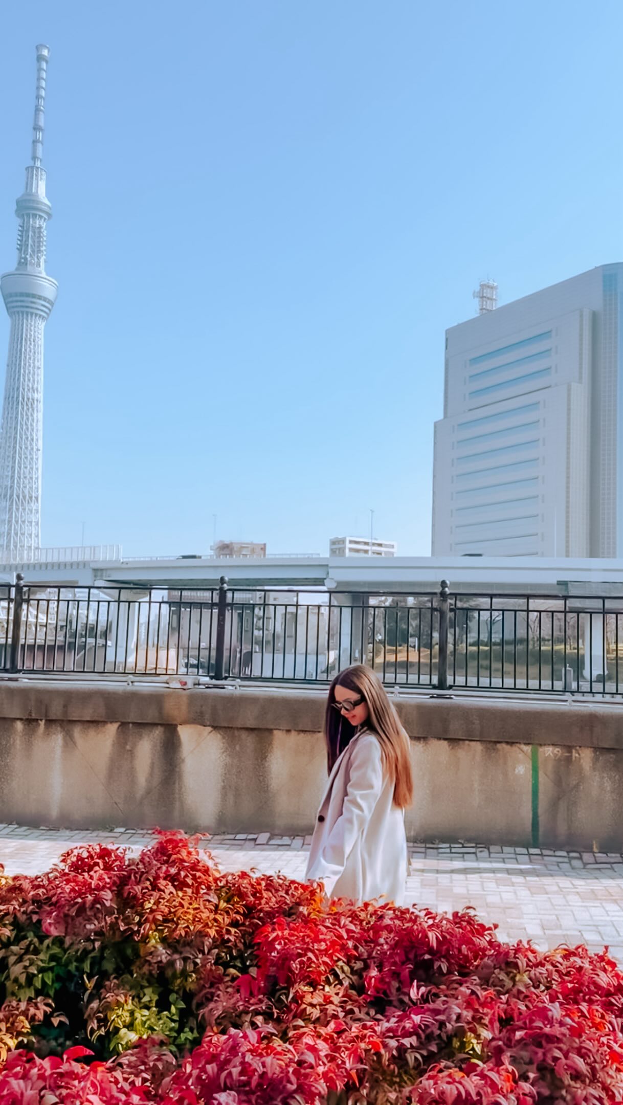 10 Attractions in Tokyo