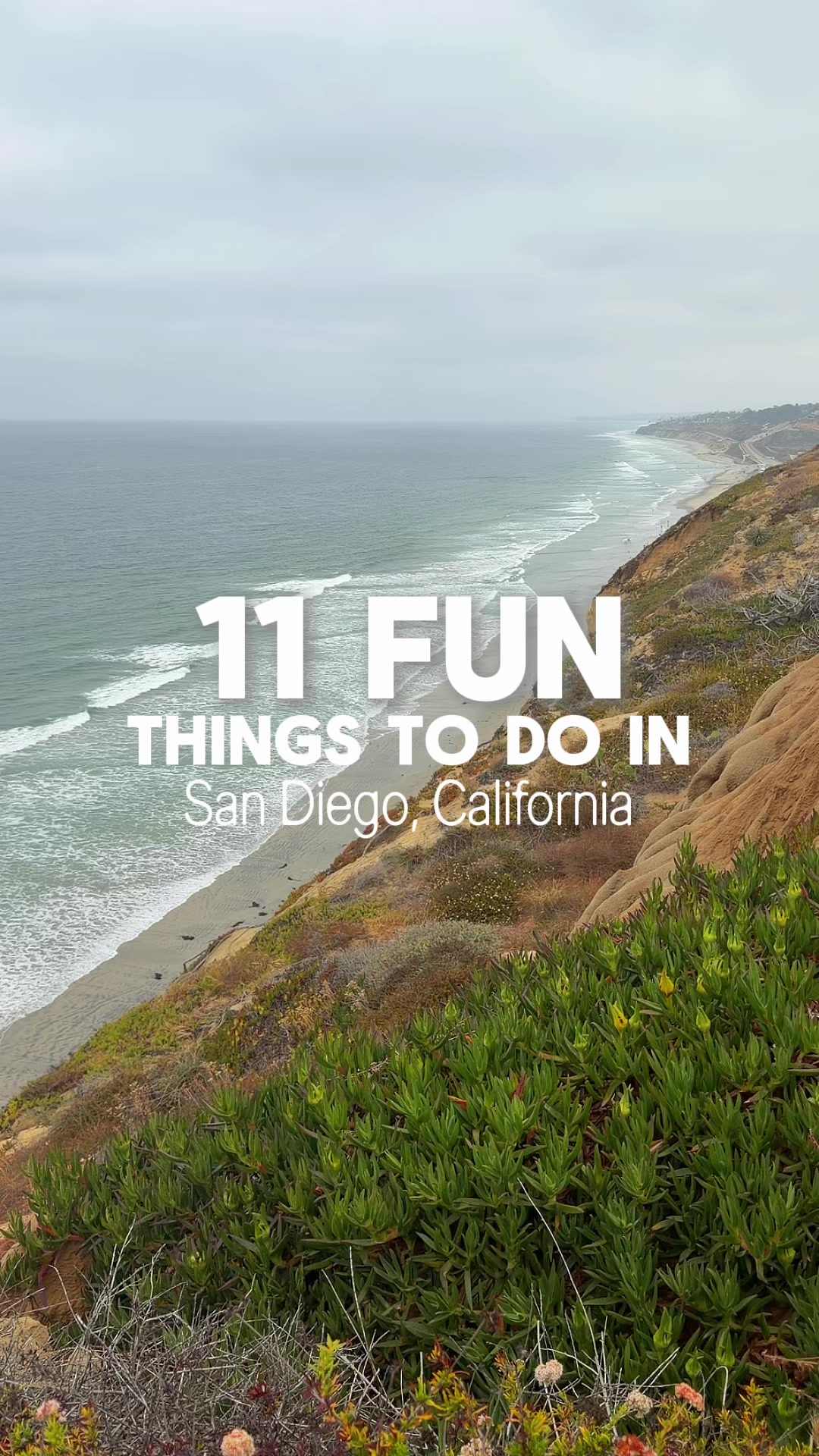 San Diego Fun: Parks, Beaches, and Local Spots