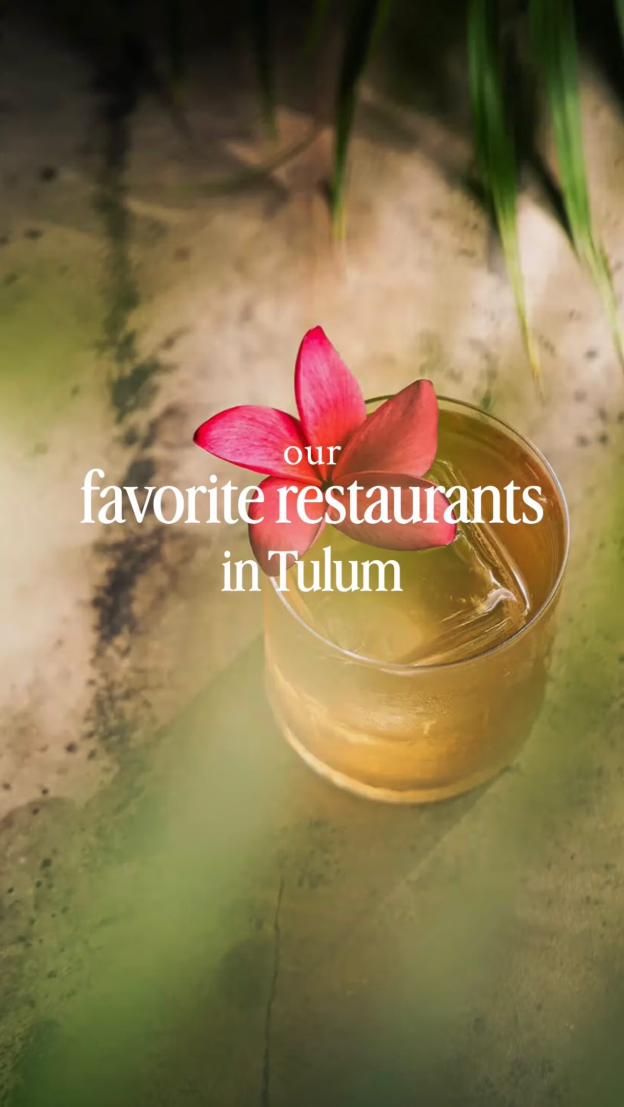 Tulum Restaurants: A Culinary Tour