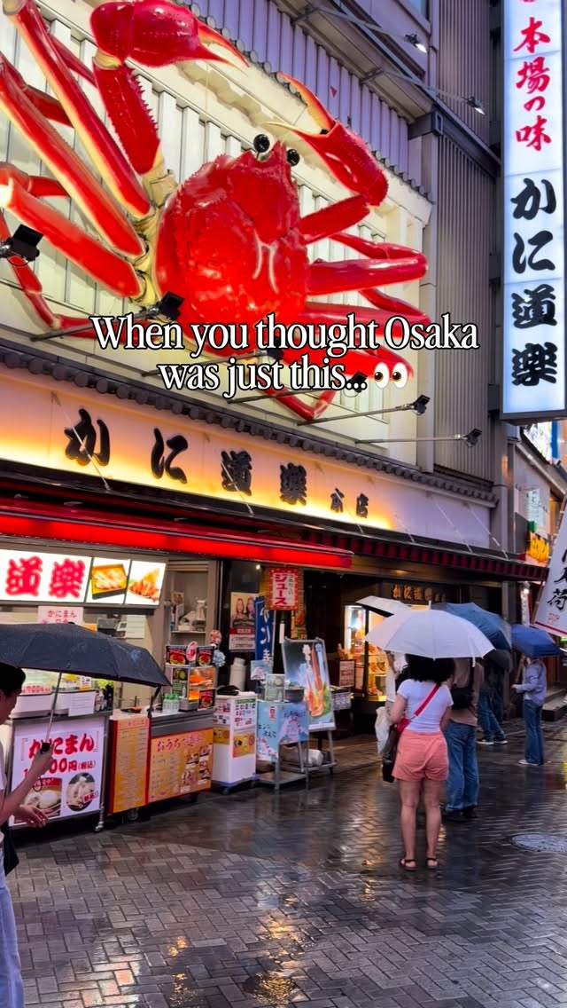 Osaka's City Buzz and Natural Escapes