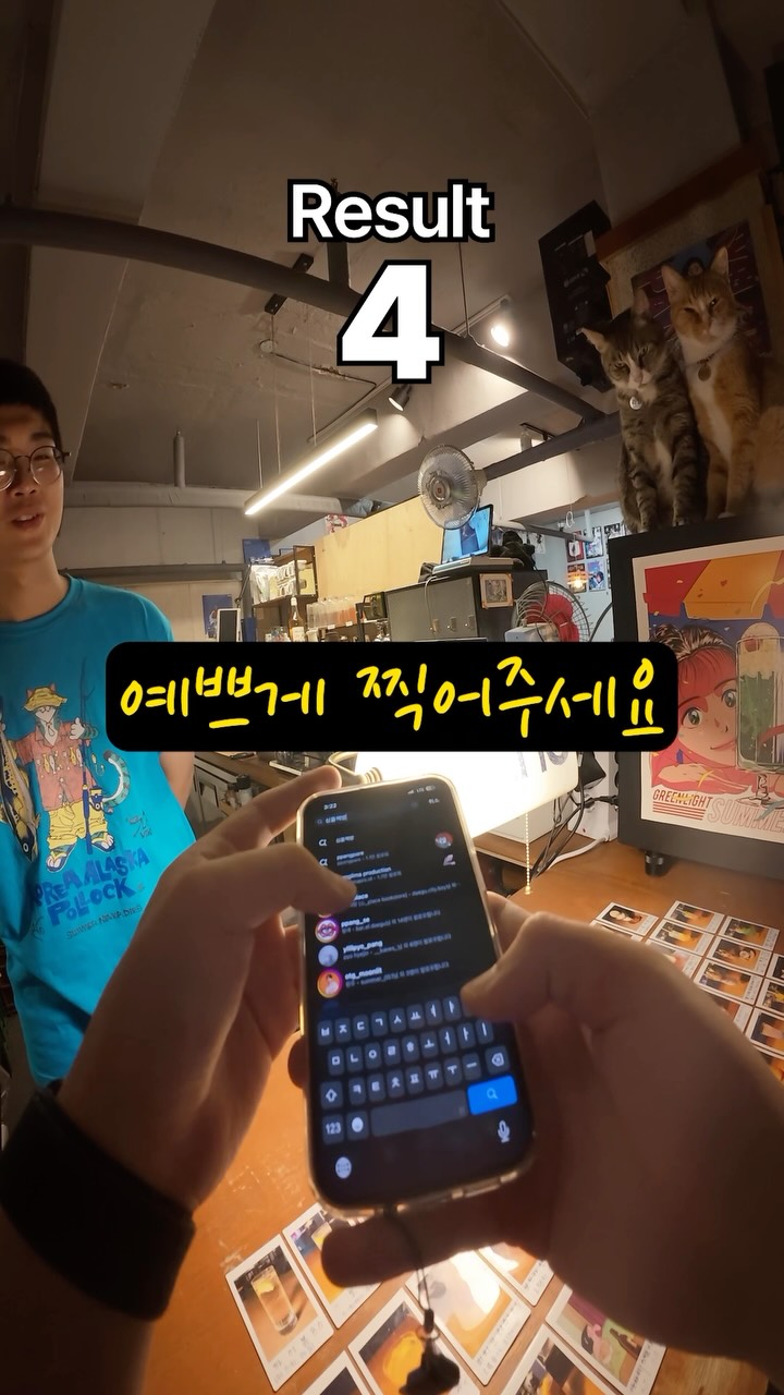 Daegu Bookstore Filled with Cats and City Pop