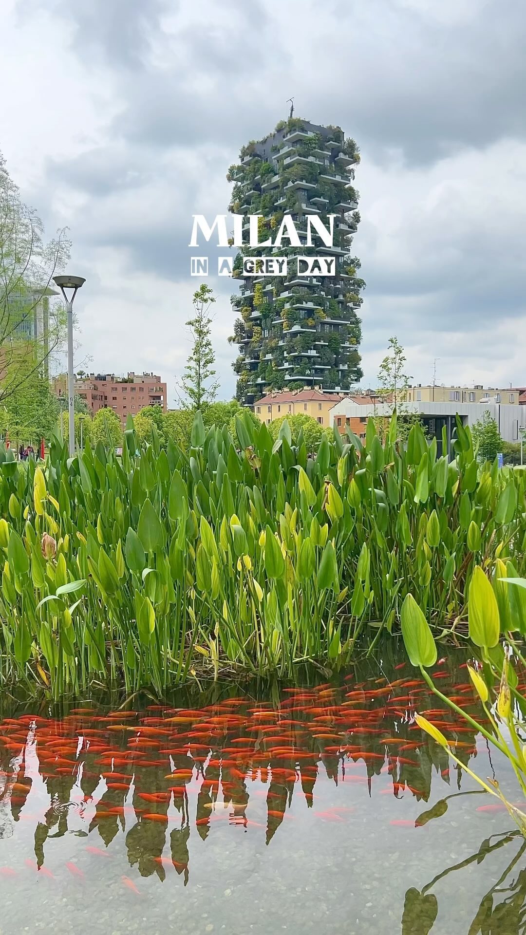 5 Places in Milano