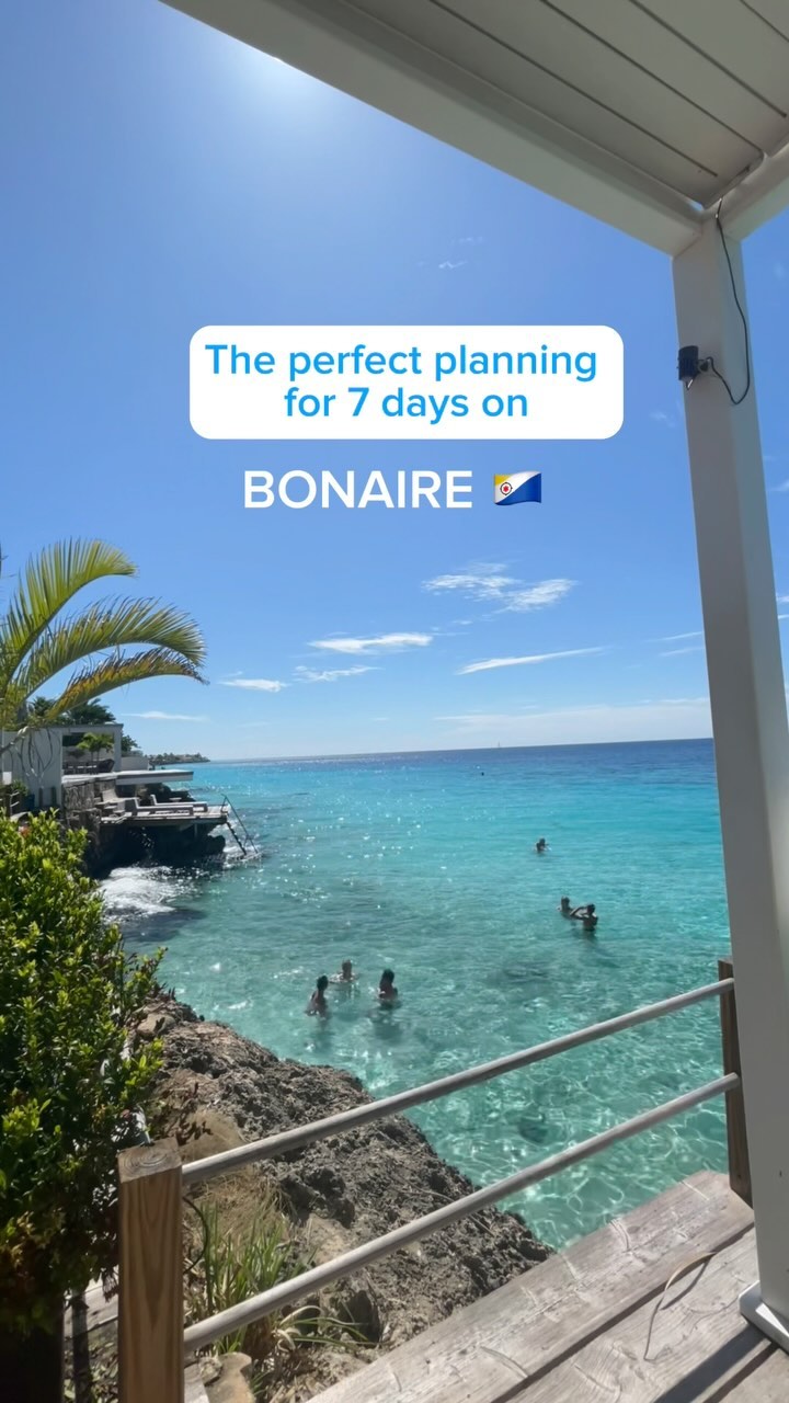 Bonaire's Top 12 Attractions and Adventures