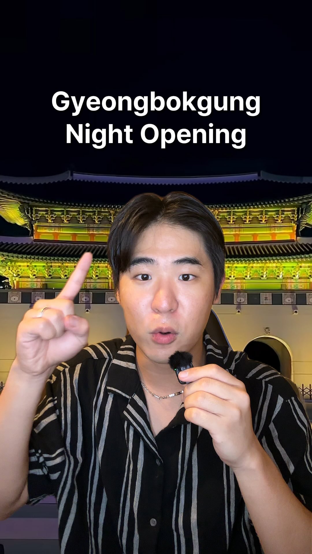 Seoul Palace Night Openings Offer Magical Views