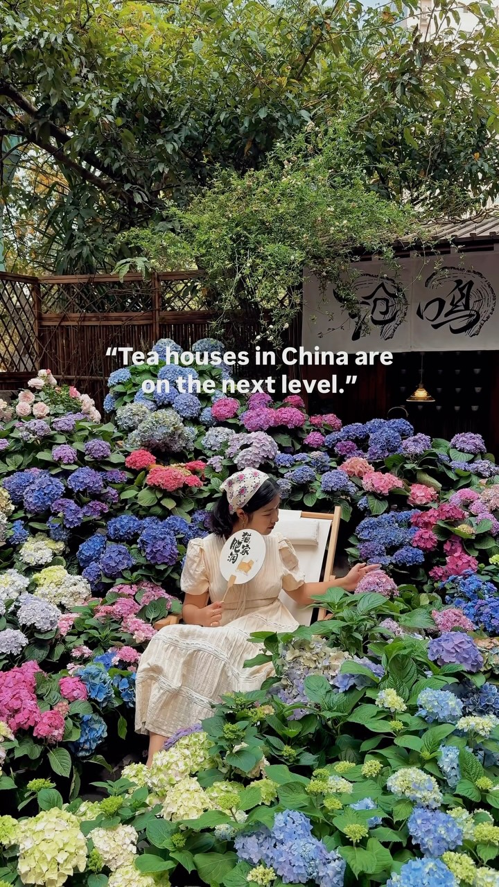 Chinese Tea Houses: Du Fu Cottage & Kuangzhai Alley